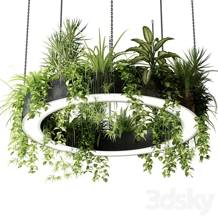 Ring lamp planter with plants 3D Model Free
