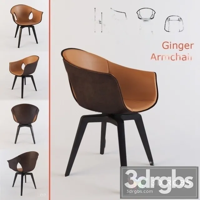 Roberto Lazzeroni Ginger Leather Armchair 3D Model Free