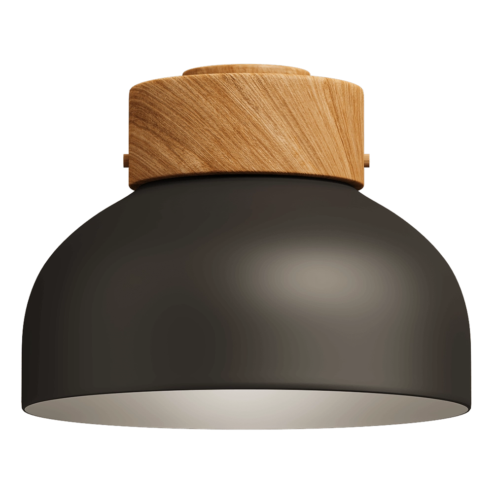 Robin Lamps - Ceiling lamp Reiko 3D Model