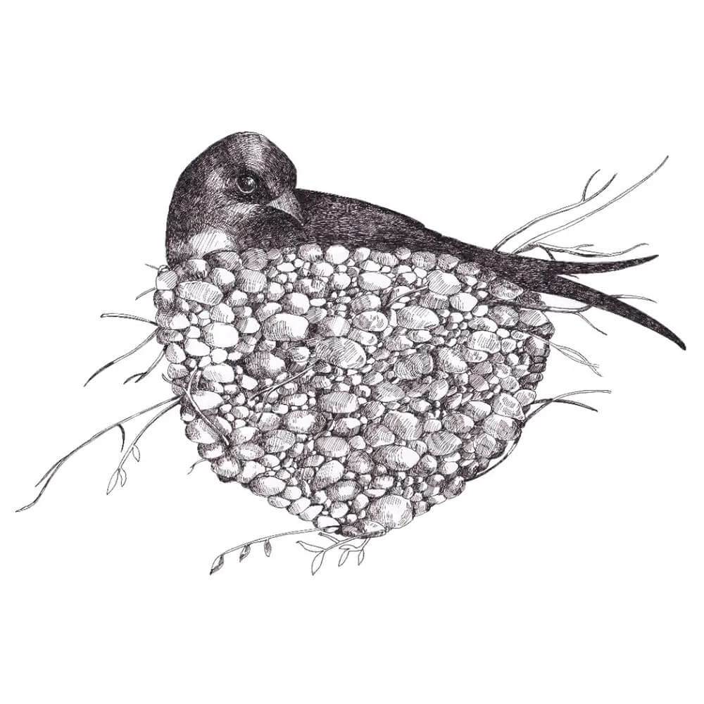 ROCK AND WALL - Wallpaper Nest 3D Model