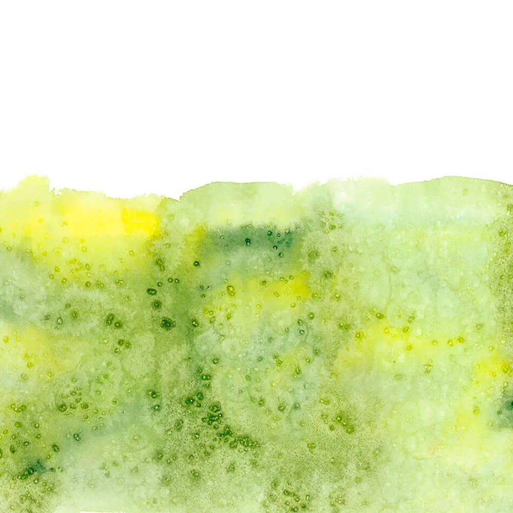 ROCK AND WALL - Wallpaper Pistachio flavor 3D Model