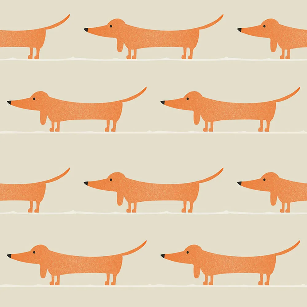 ROCK AND WALL - Wallpaper Red dachshund 3D Model