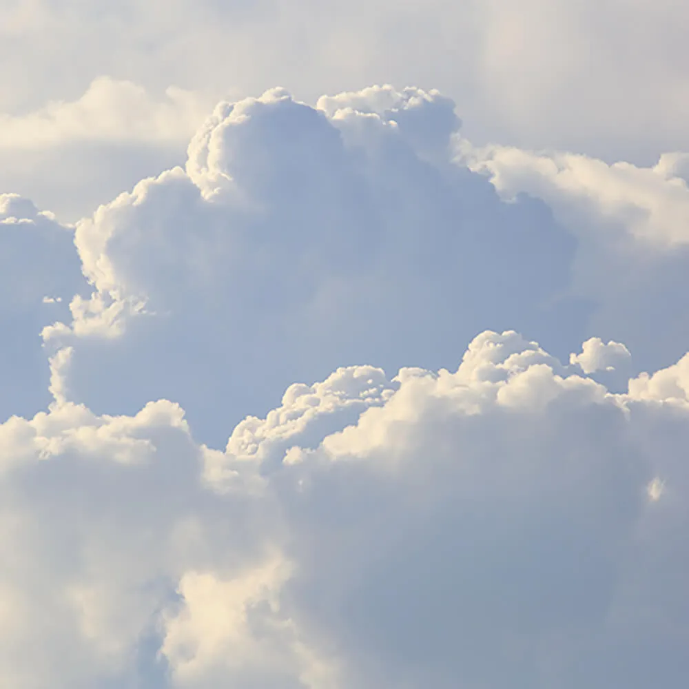 ROCK AND WALL - Wallpaper Tenderness 3D Model