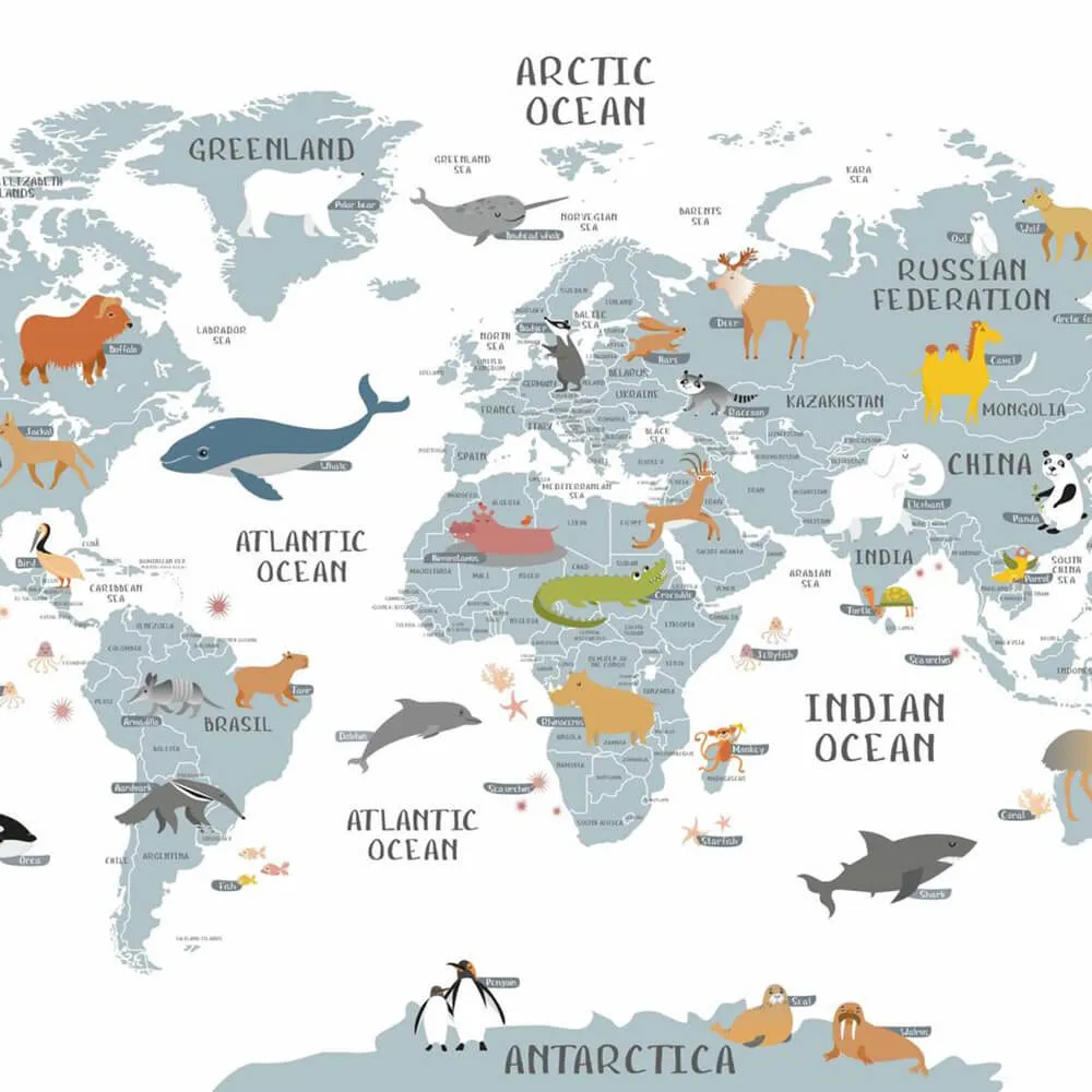 ROCK AND WALL - Wallpaper World map 3D Model