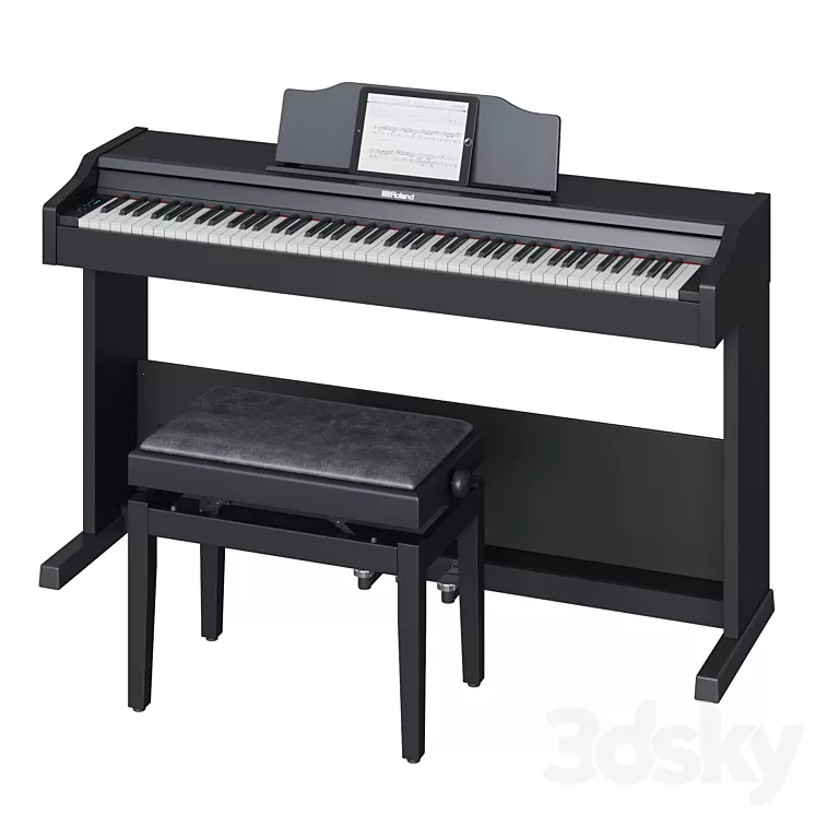 Roland RP 102