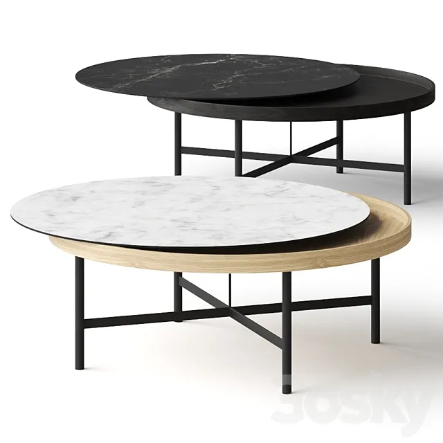 Rolf Benz 8290 Coffee Table 3DModel