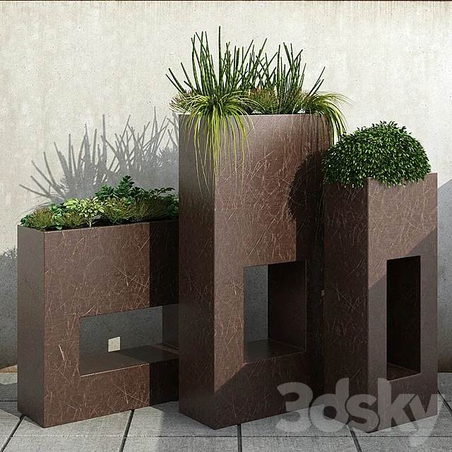 Room plants 13 3DModel
