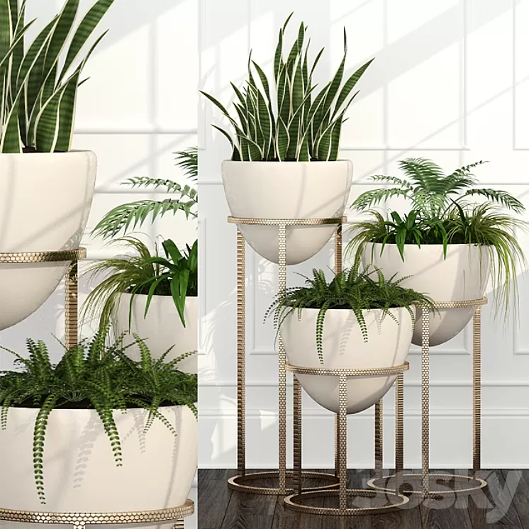 Room plants 14 3D Model