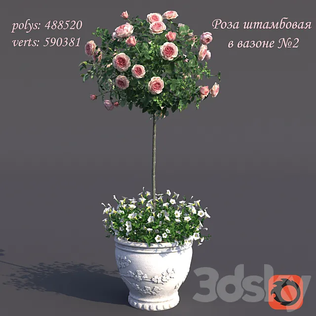 Rosa shtambovaya in a pot No. 2 3D Model