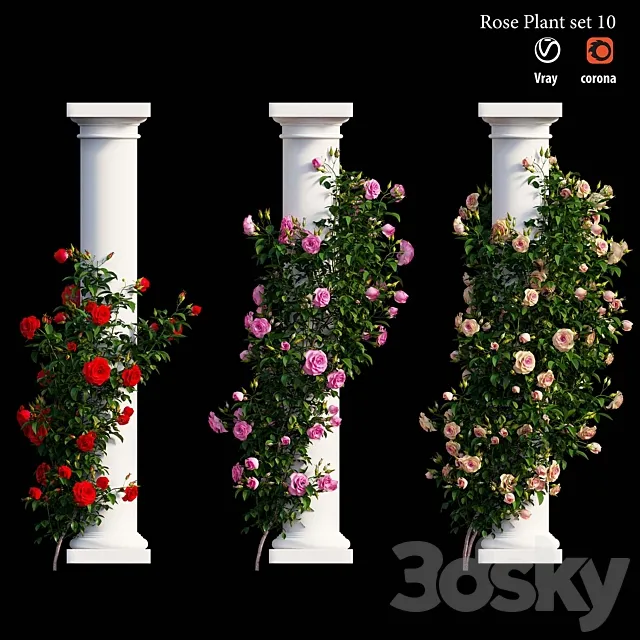 Rose plant set 10 3D Model