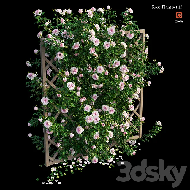 Rose plant set 13 3D Model