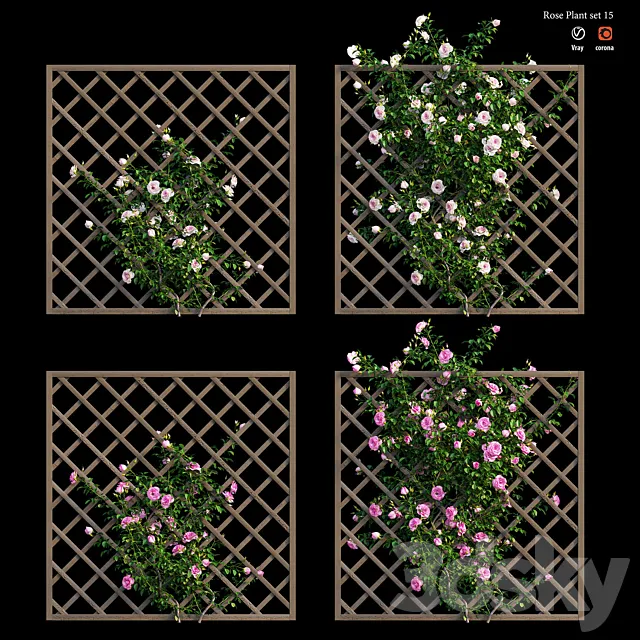 Rose plant set 15 3D Model