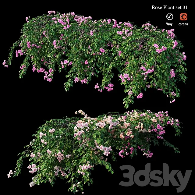 Rose plant set 31 3D Model