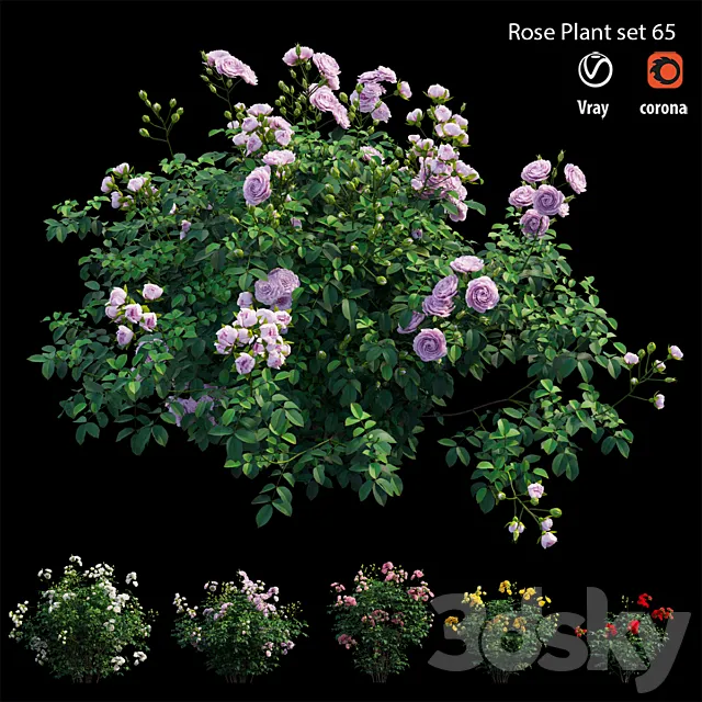 Rose plant set 65 3DModel