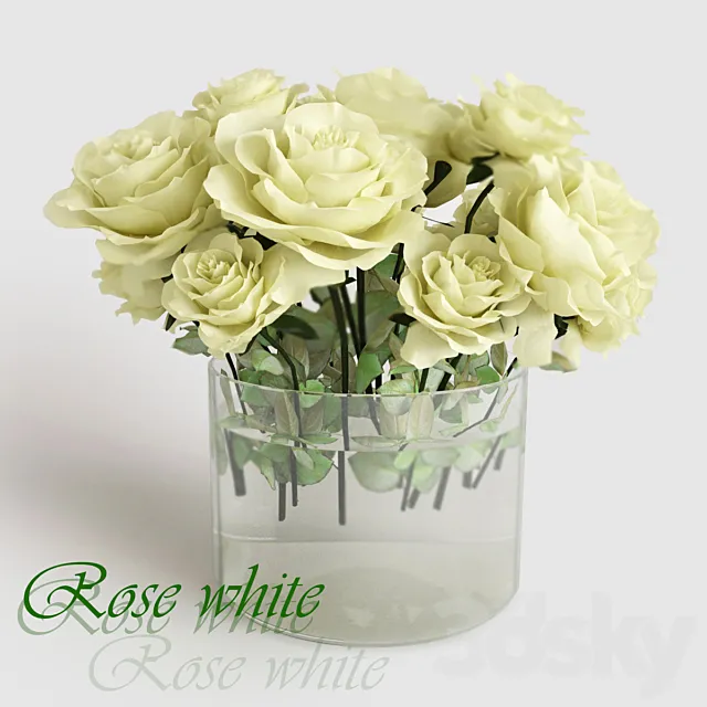 Rose white 3DModel