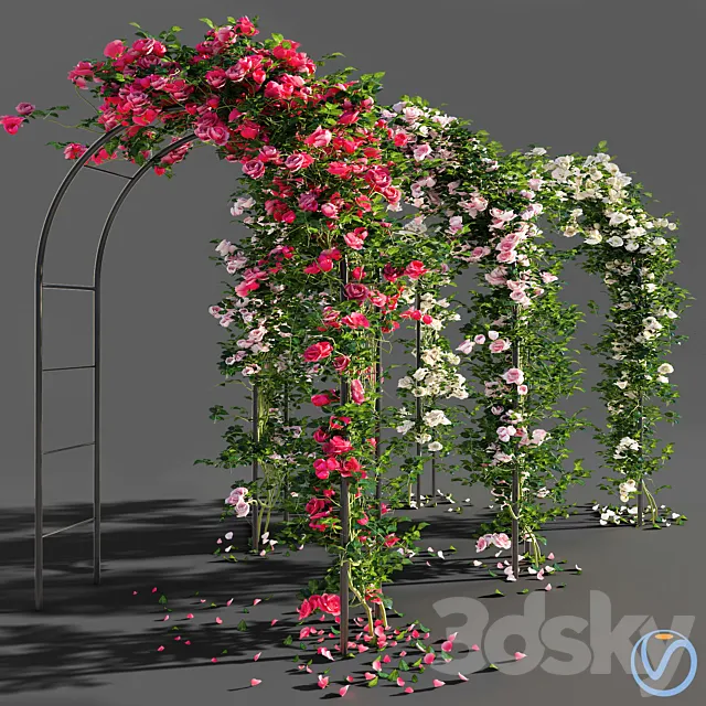 Roses 3DModel