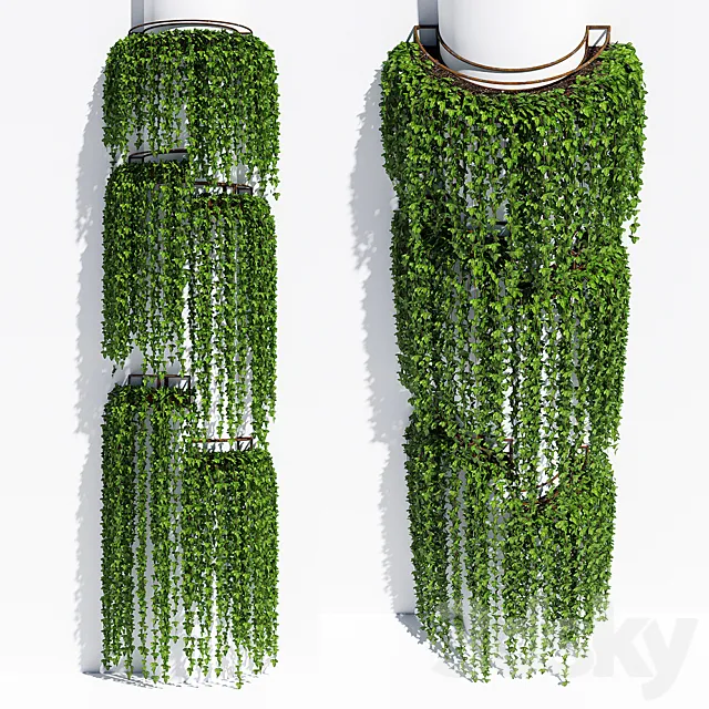 Round box ivy 3D Model
