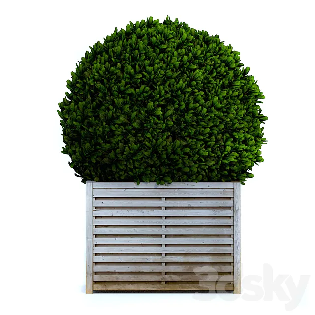 Round bush 3D Model