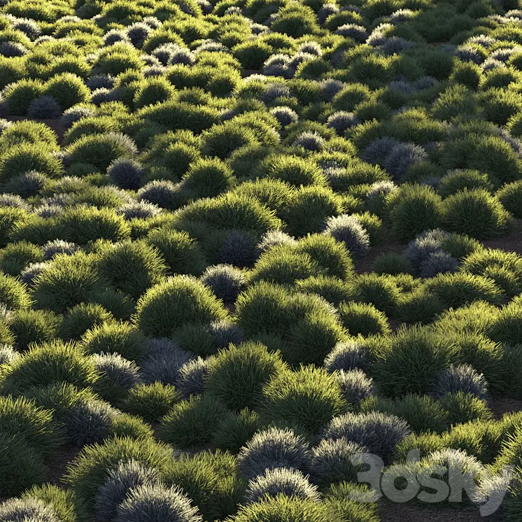 Round grass 3D Model