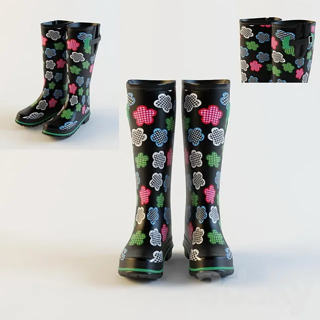 Rubber boots 3D Model