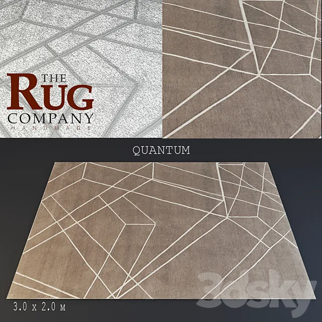 rug The Rug company. Quantum 3DModel