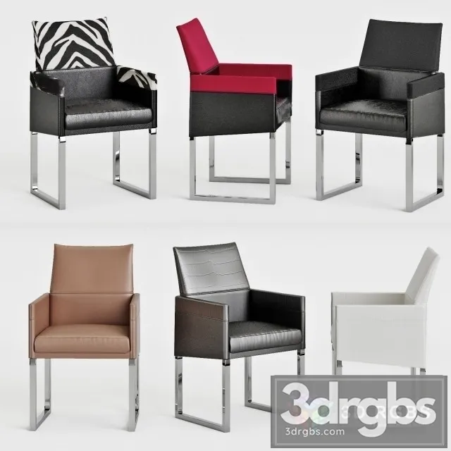 Rugiano Akita Chic 6 Colors 3D Model Free