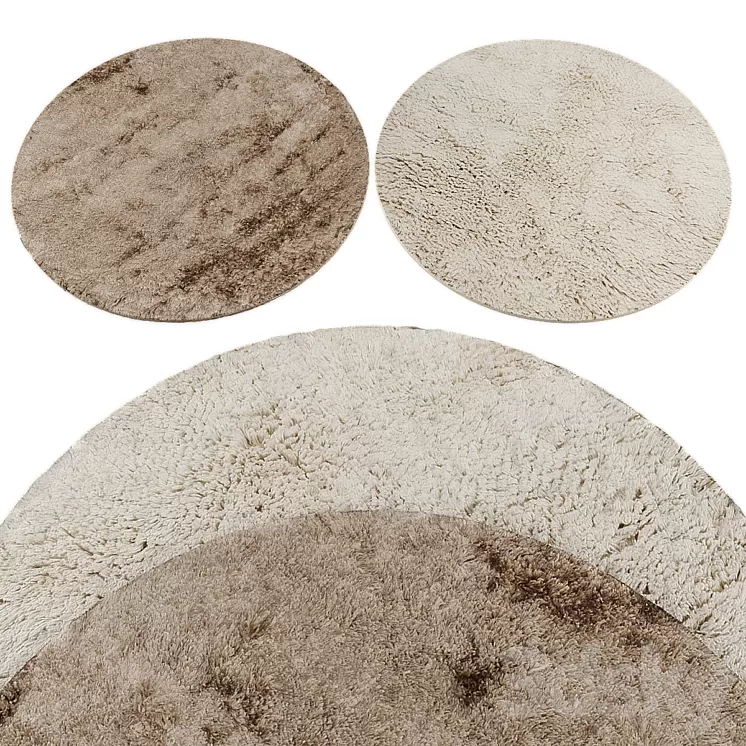 Rugs collection 364 3D Model