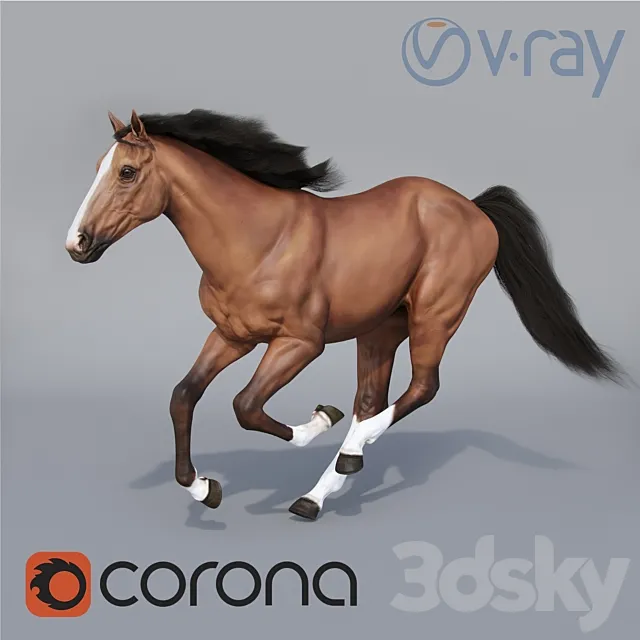 Running horse Free Download