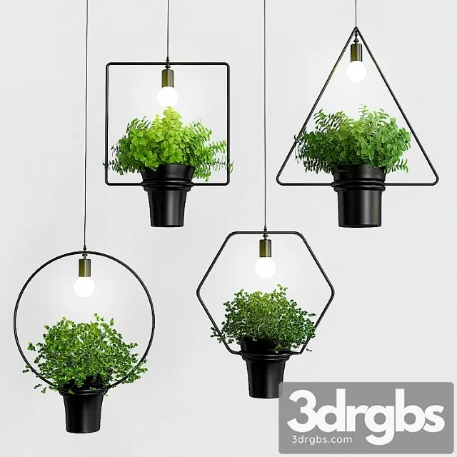 Sabidamen luz pingente moderno 3D Model Free