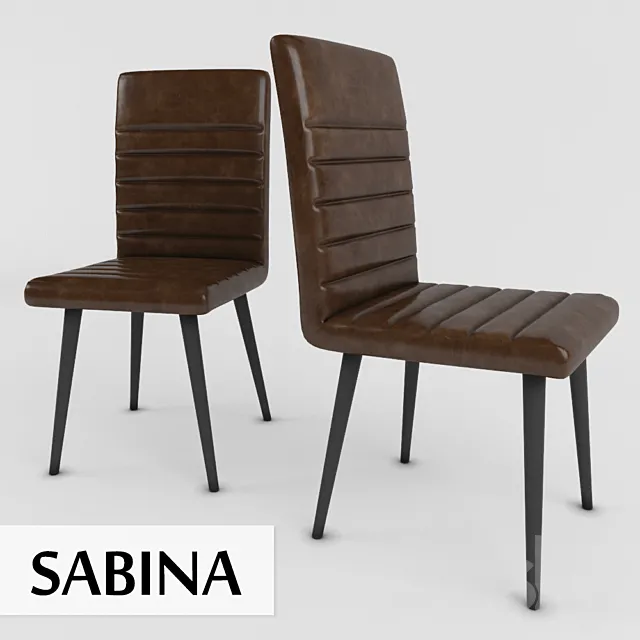 Sabina Retro 3D Model