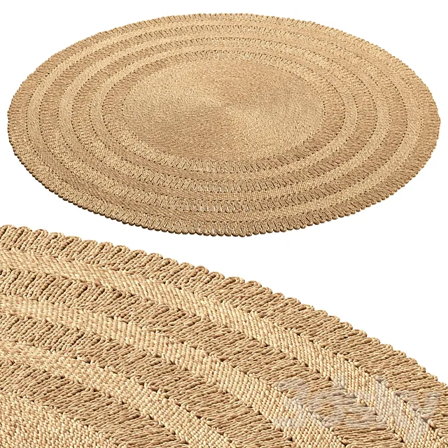 SAFAVIEH Pierrine Jute Rug 3D Model