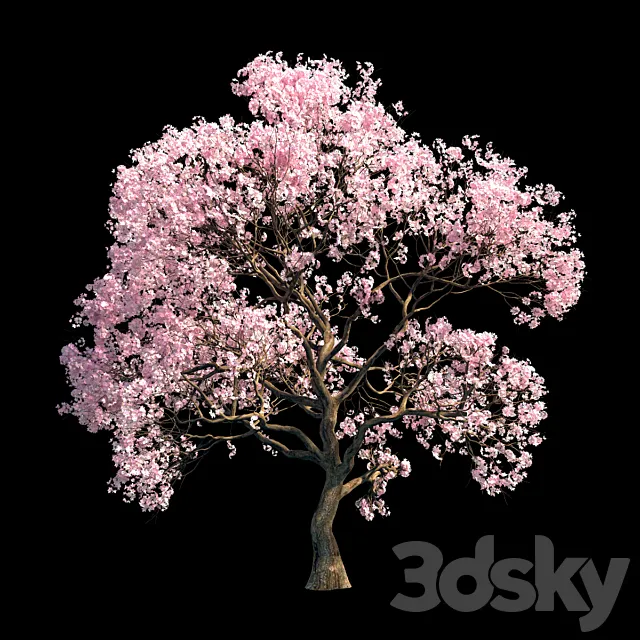 Sakura 9 3D Model