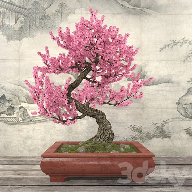 Sakura Bonsai 3D Model