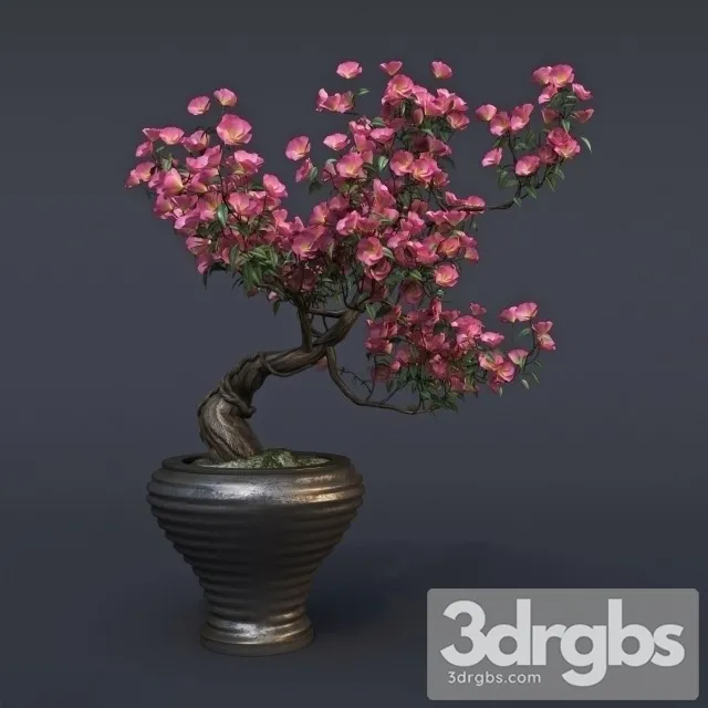 Sakura Bouquet 3D Model Free