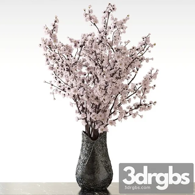 Sakura V Vazie 3D Model Free