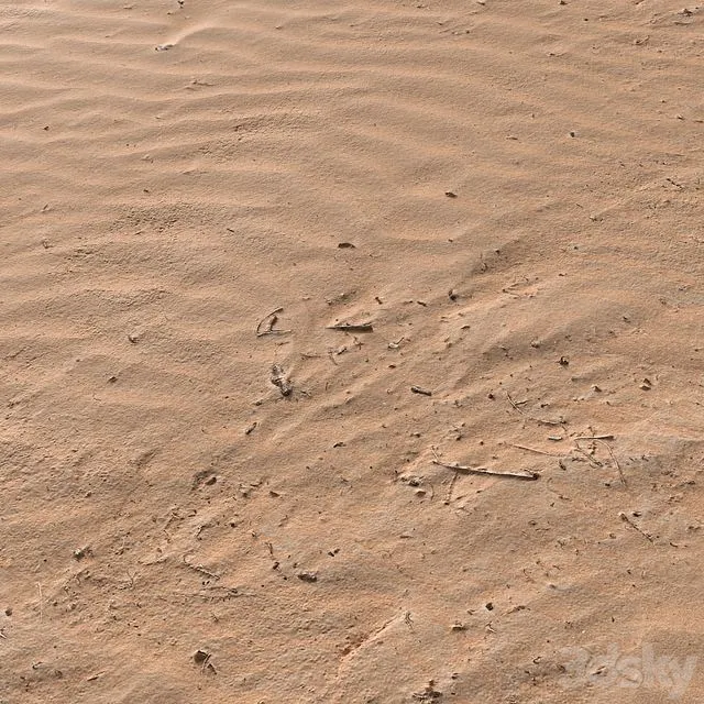 Sand Beach 07 Free Download
