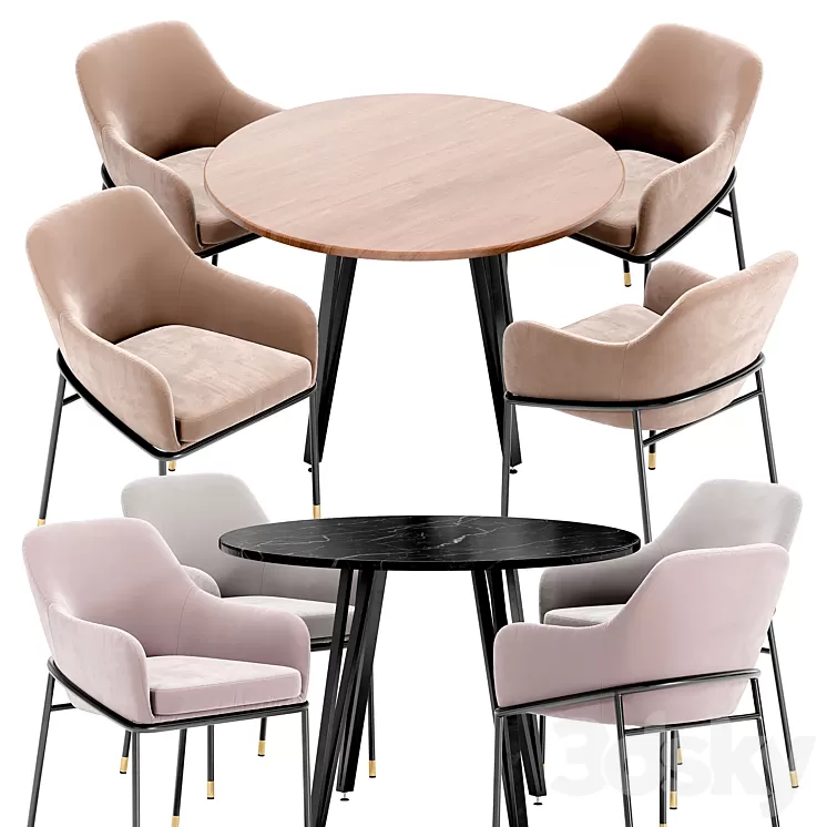 Sandra dining chair and Raymond table 3D Model