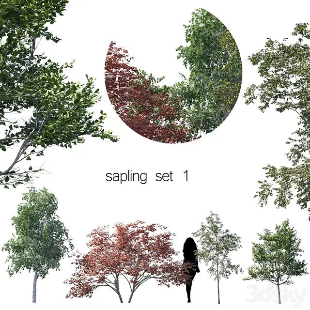 Sapling set 1 3D Model