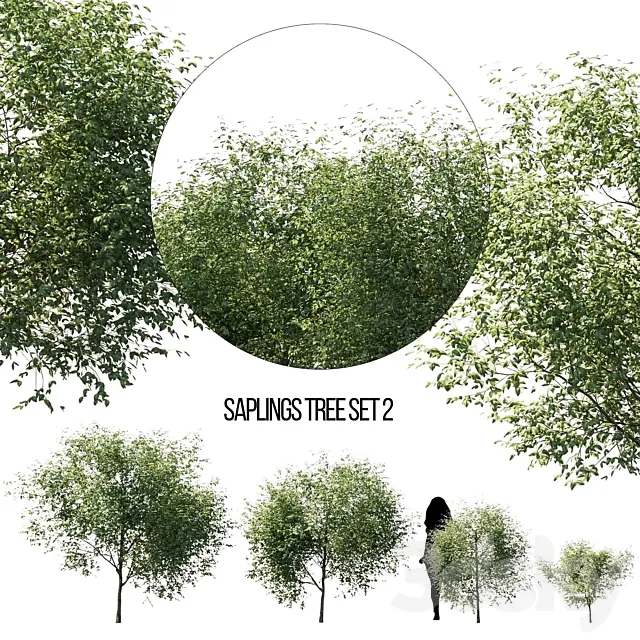 saplings tree set 2 Free Download