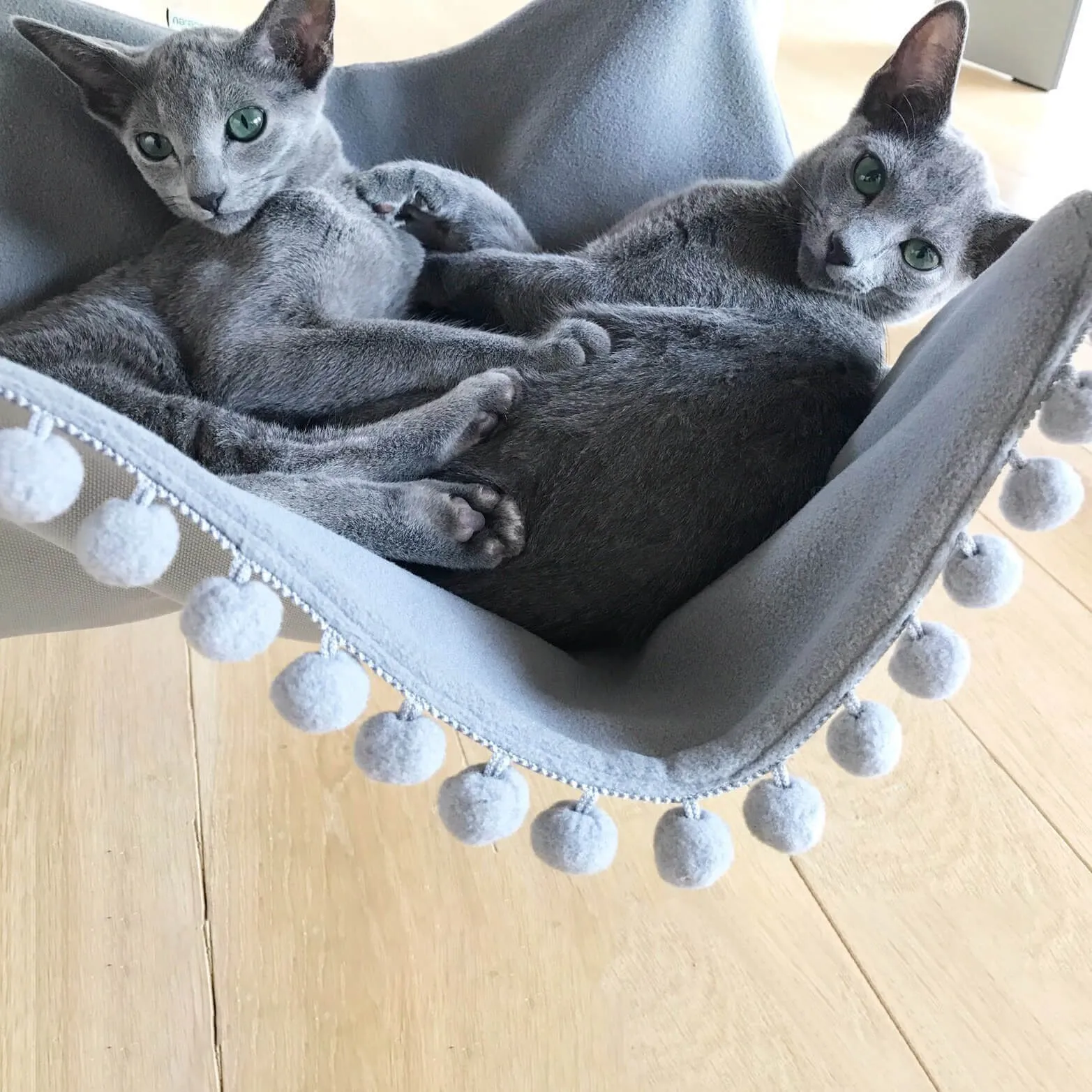 Saveplace - Saveplace 8 3D Model