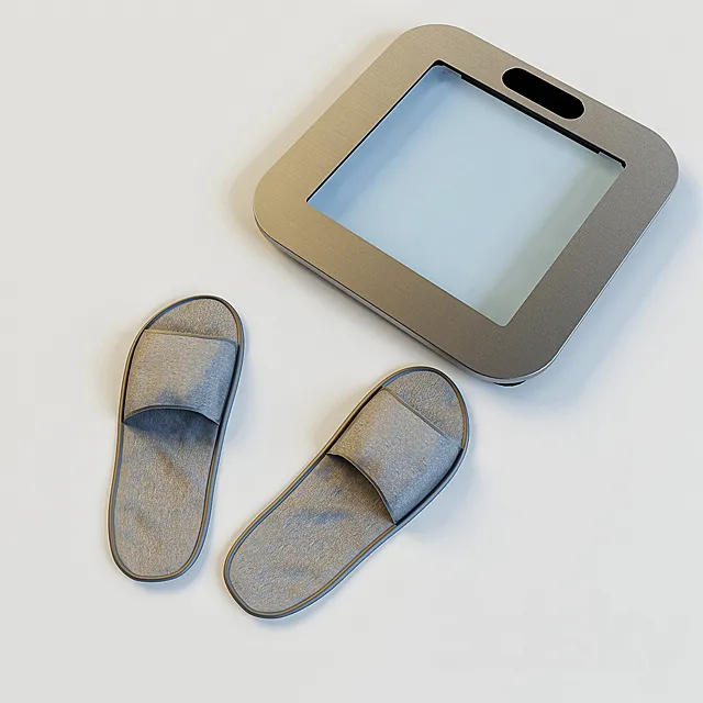 Scales and slippers 3D Model