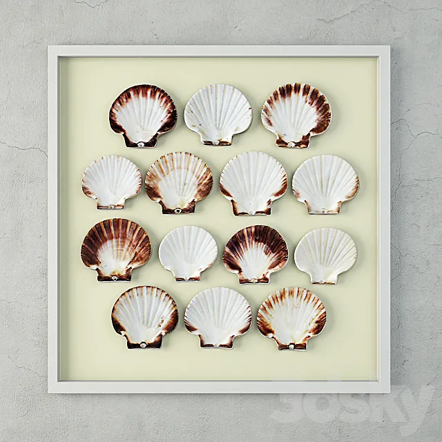 Scallop Shells 3D Model