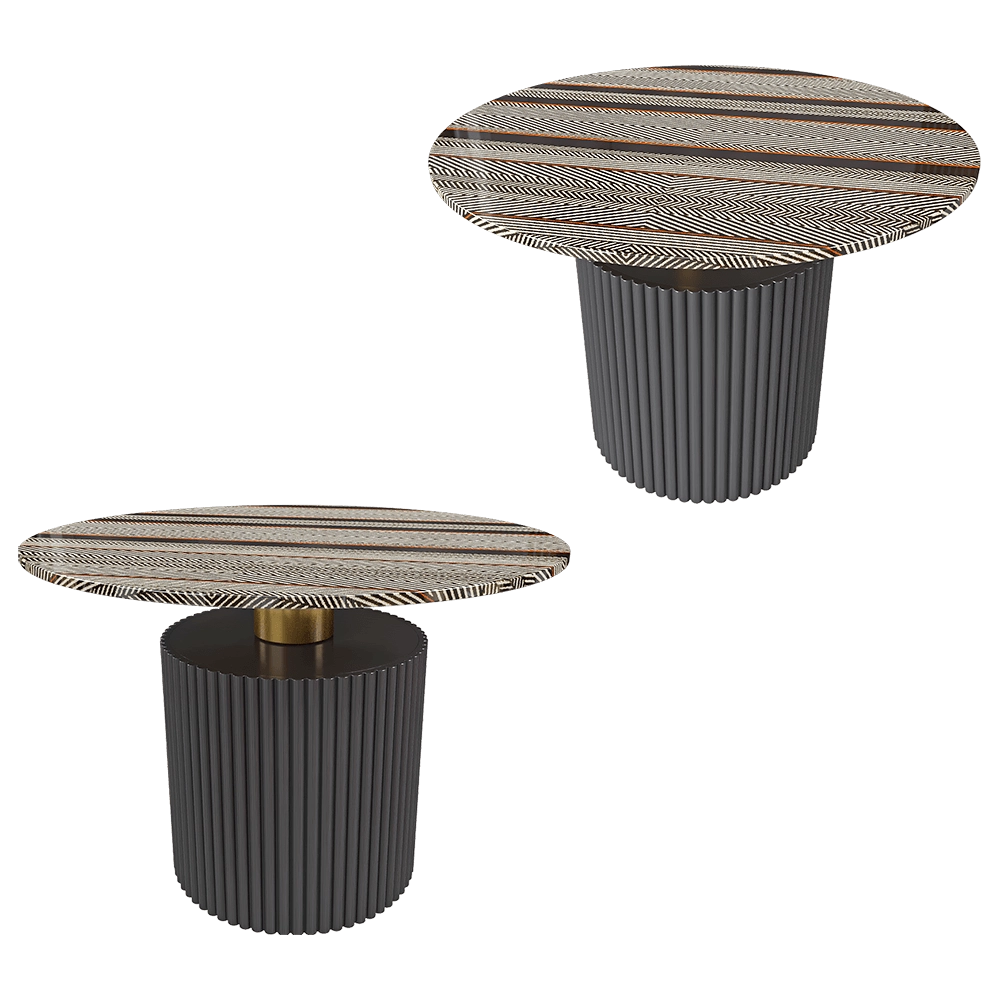 SCAPPINI HOME  - Coffee table MID 3D Model