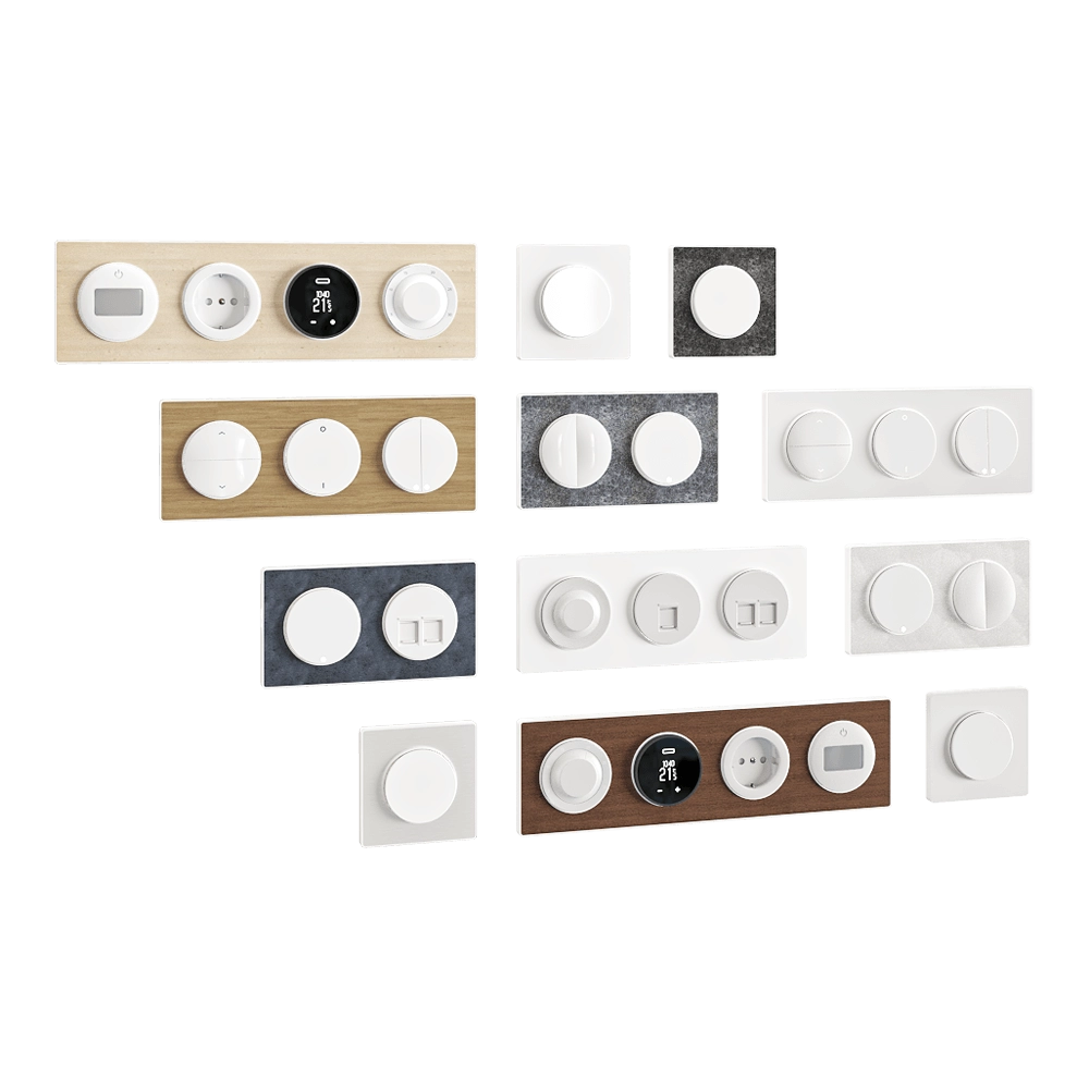 Schneider Electric - Sockets and switches Odace 3D Model