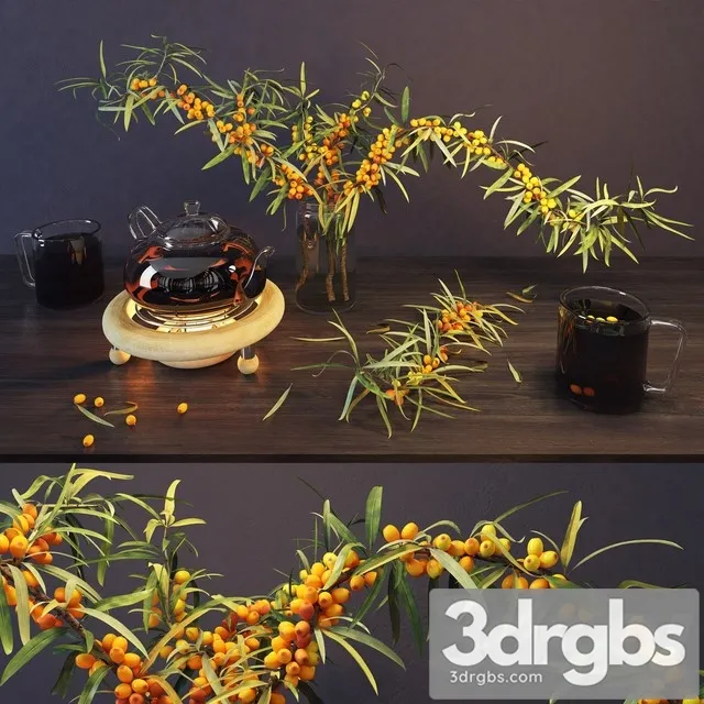 Sea Buckthorn and Kettle 3D Model Free