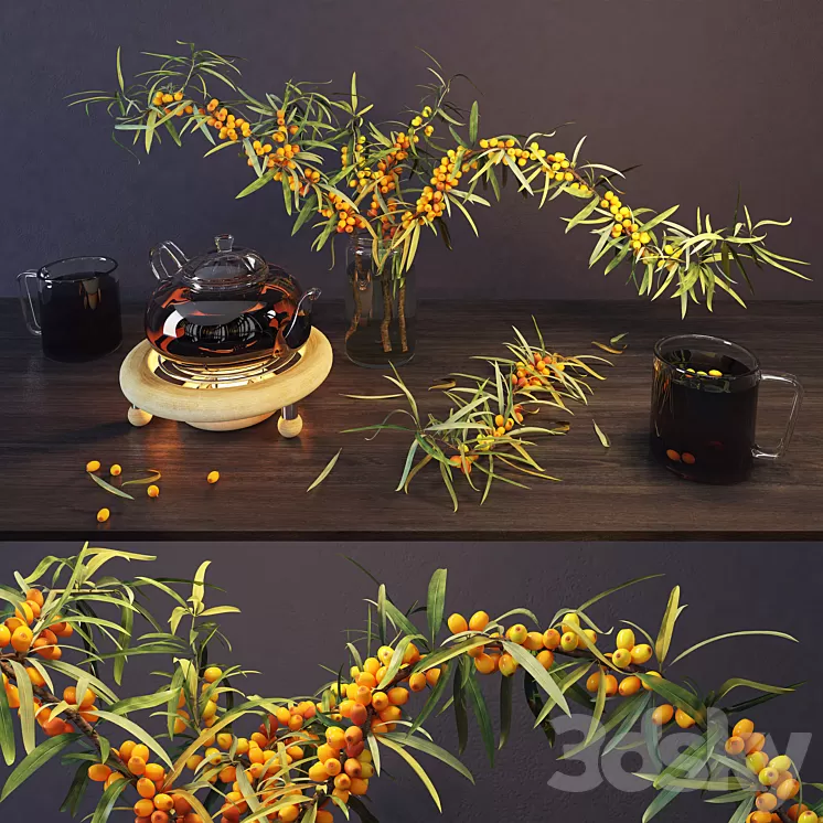 Sea buckthorn and kettle 3D Model