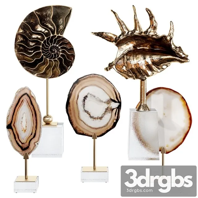Sea Shell Decorative Set 02 3D Model Free