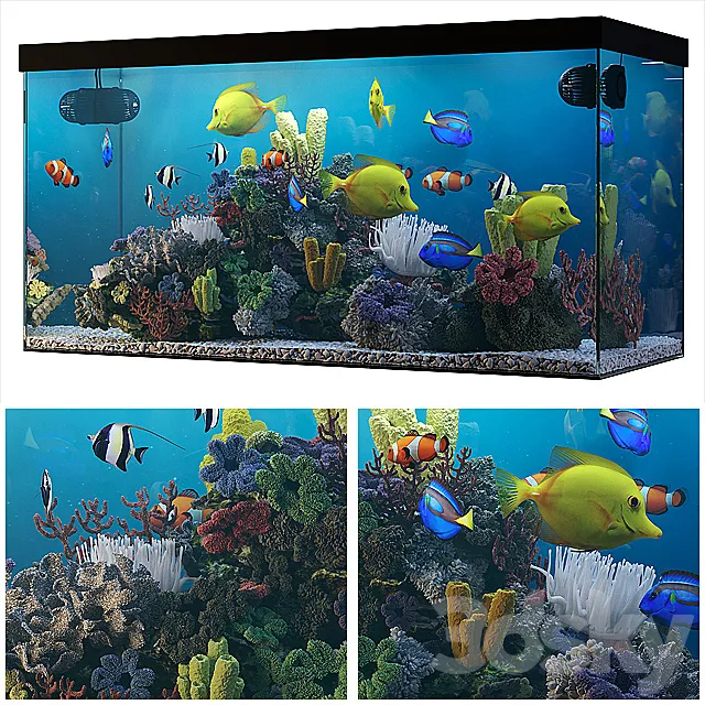Seawater aquarium 3DModel