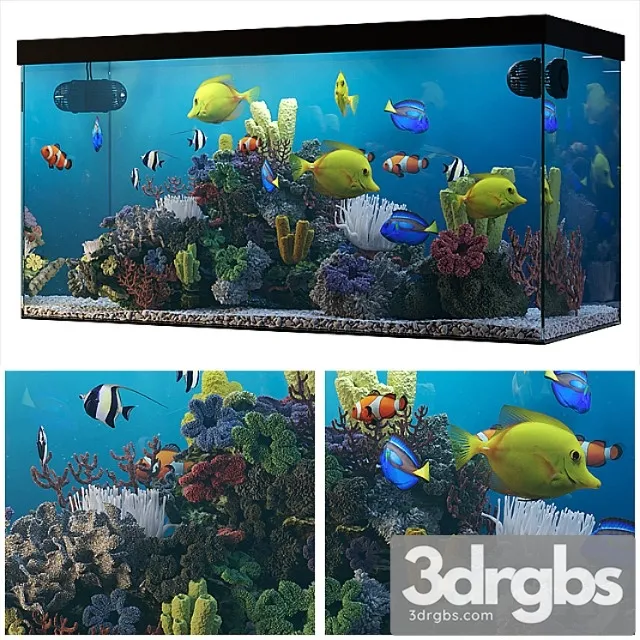 Seawater aquarium_3 3D Model Free