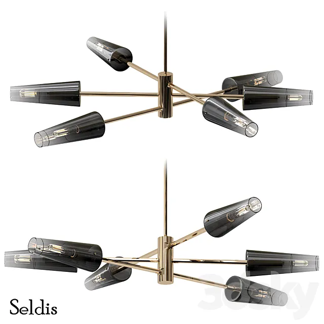 Seldis 3DModel
